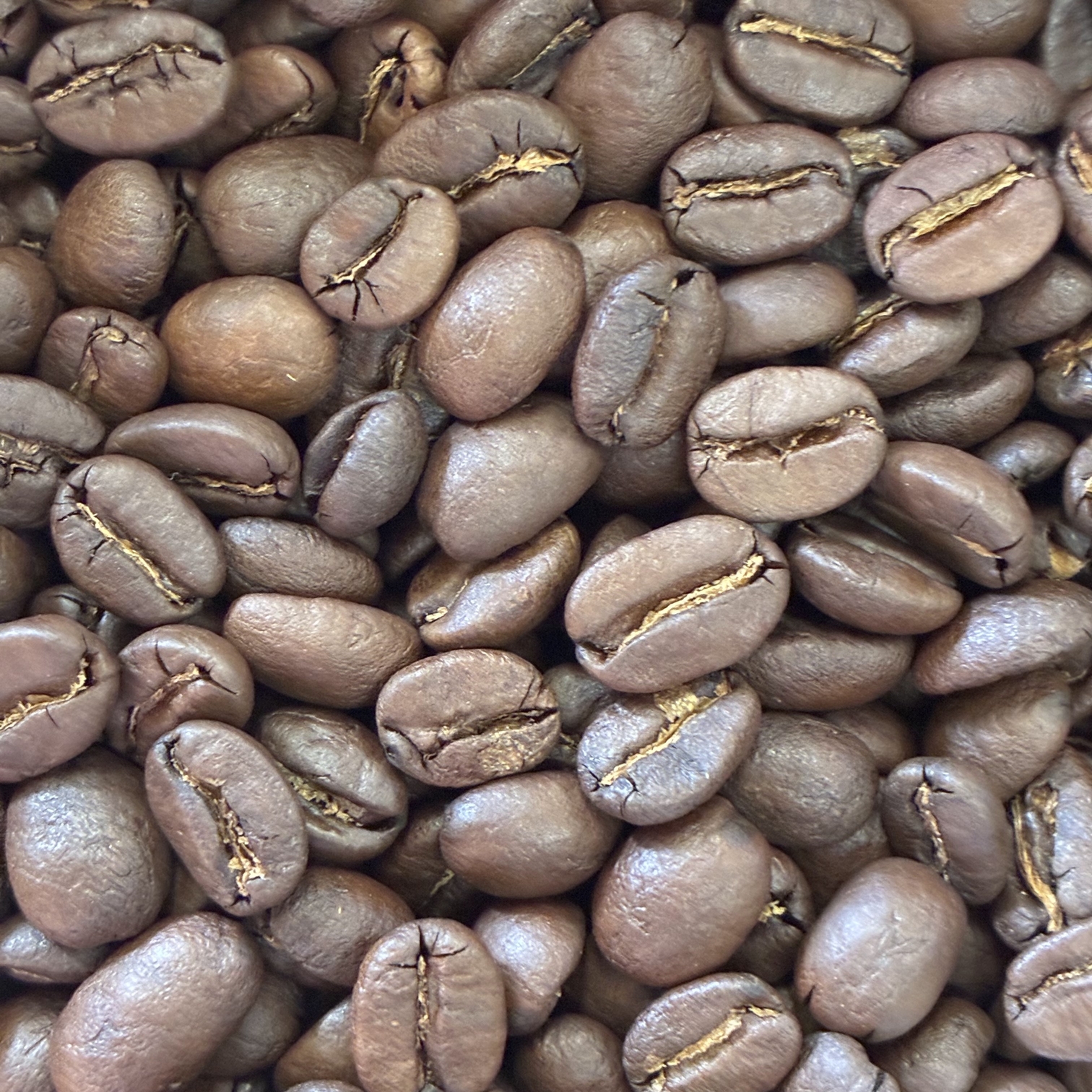 ボリビア焙煎豆