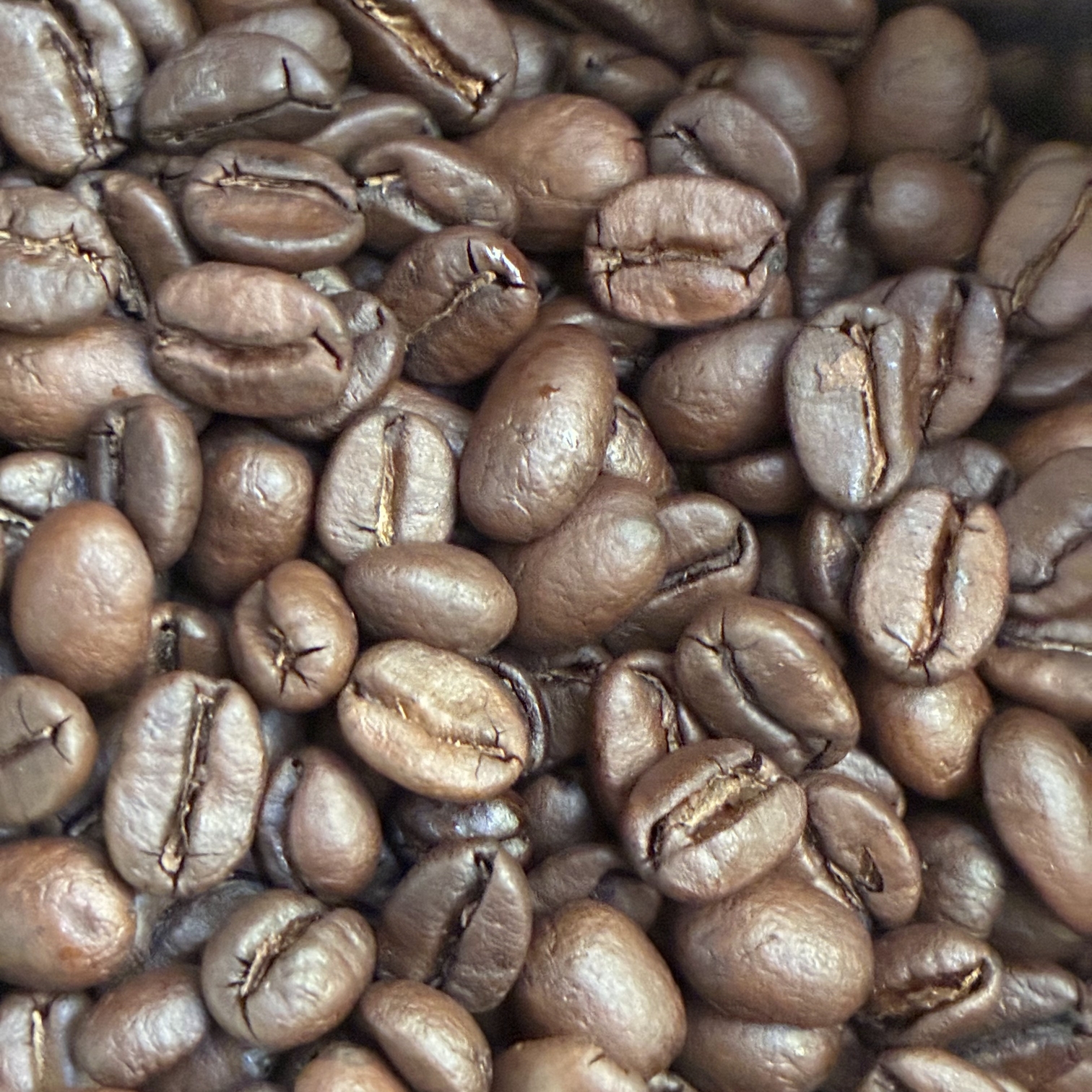 コスタリカ焙煎豆