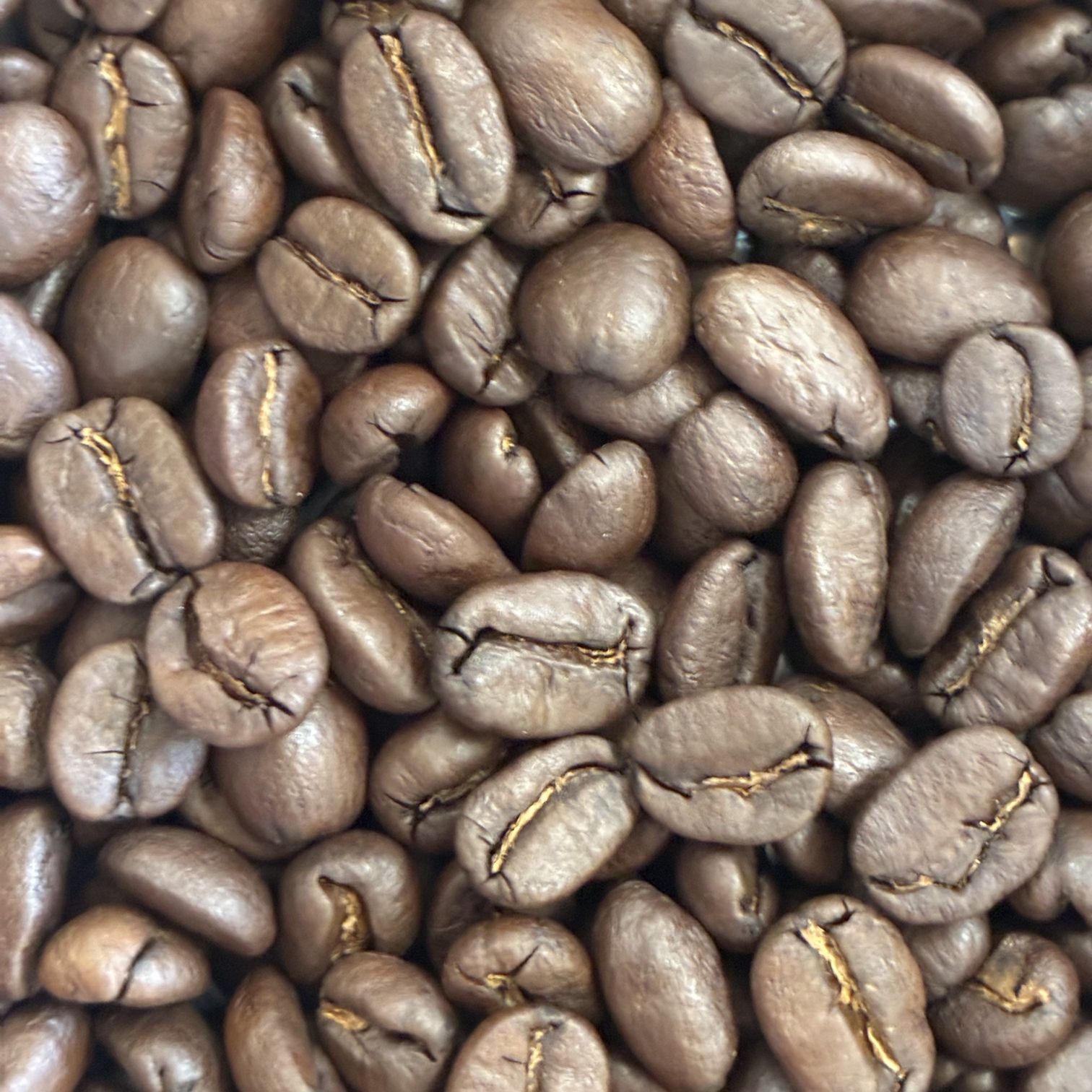 ホンジュラス焙煎豆