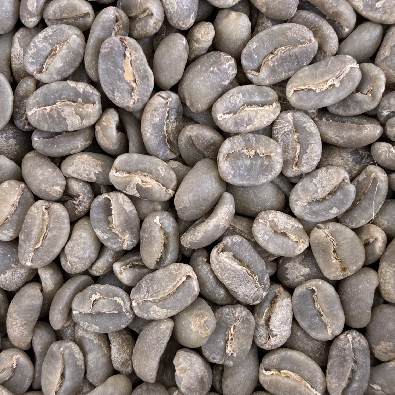 パプアニューギニア生豆